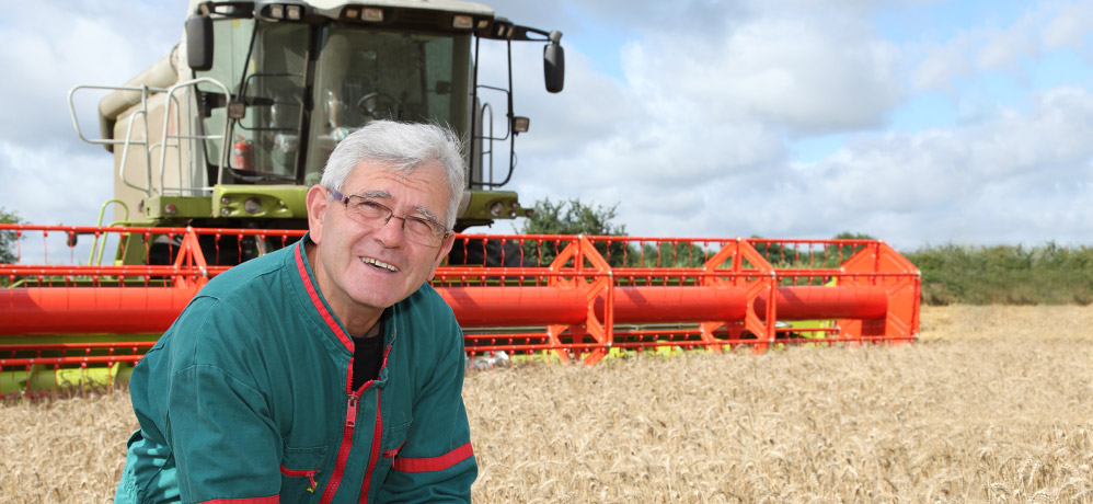 Landwirtschaft/Forstwirtschaft